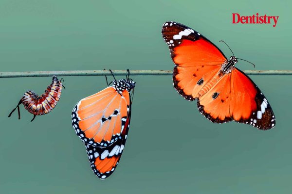 Sensory design: a radical approach set to transform patient experience